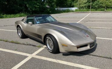 Chevrolet-corvette-1982-grey-3