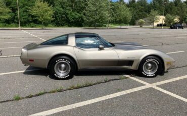 Chevrolet-corvette-1982-grey-4