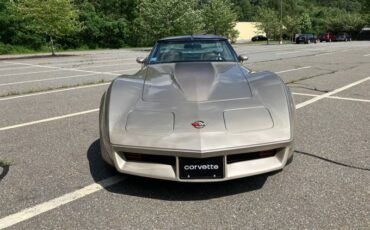 Chevrolet-corvette-1982-grey-6