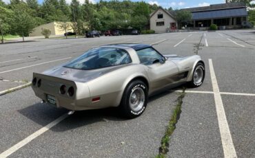 Chevrolet-corvette-1982-grey-7
