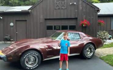 Chevrolet-corvette-coupe-1976-purple-1