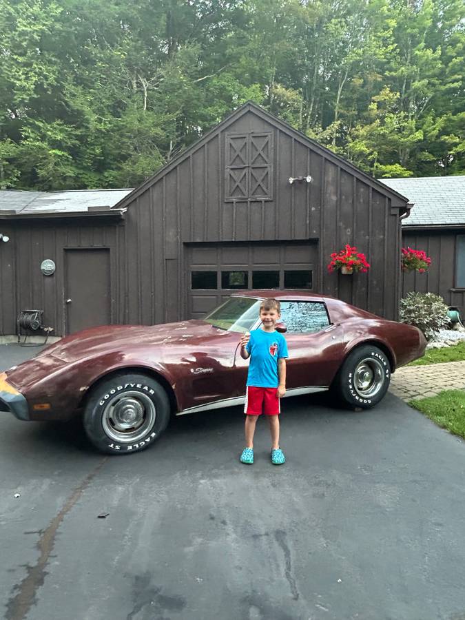 Chevrolet-corvette-coupe-1976-purple-1