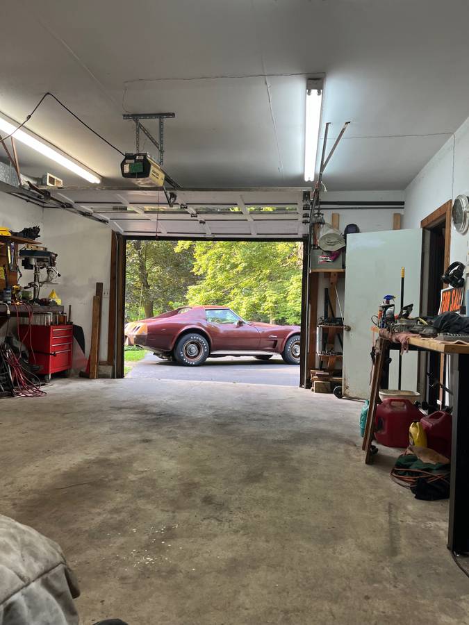 Chevrolet-corvette-coupe-1976-purple-2