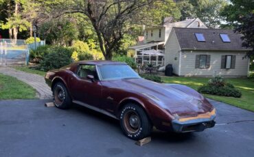 Chevrolet-corvette-coupe-1976-purple