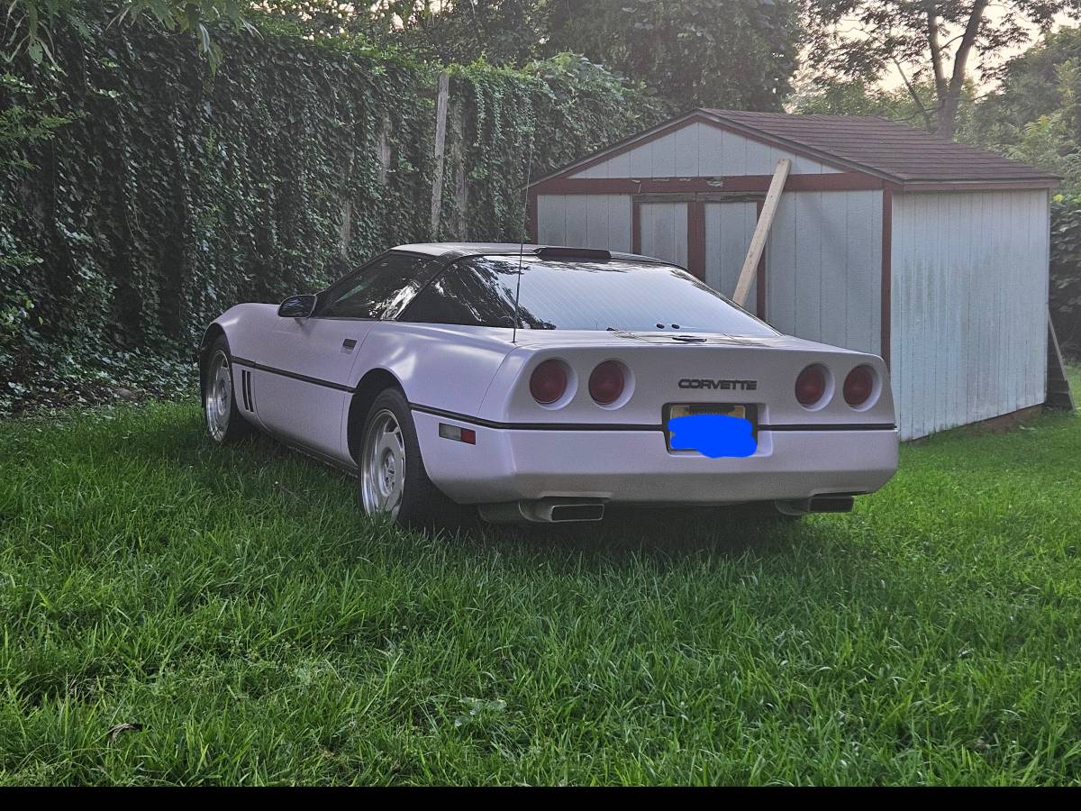 Chevrolet-corvette-coupe-1986-custom-6