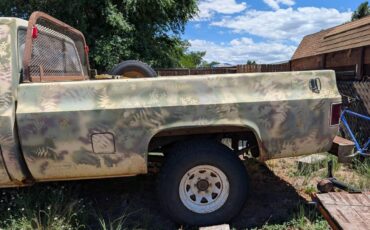 Chevrolet-custom-deluxe-1981-custom-1