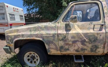 Chevrolet-custom-deluxe-1981-custom-2