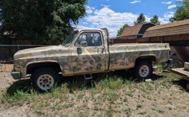 Chevrolet-custom-deluxe-1981-custom