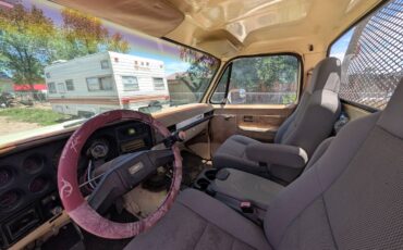 Chevrolet-custom-deluxe-1981-custom-4