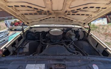 Chevrolet-custom-deluxe-1981-custom-5