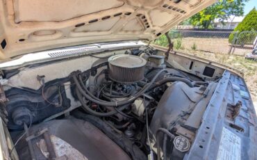 Chevrolet-custom-deluxe-1981-custom-6