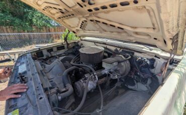Chevrolet-custom-deluxe-1981-custom-7