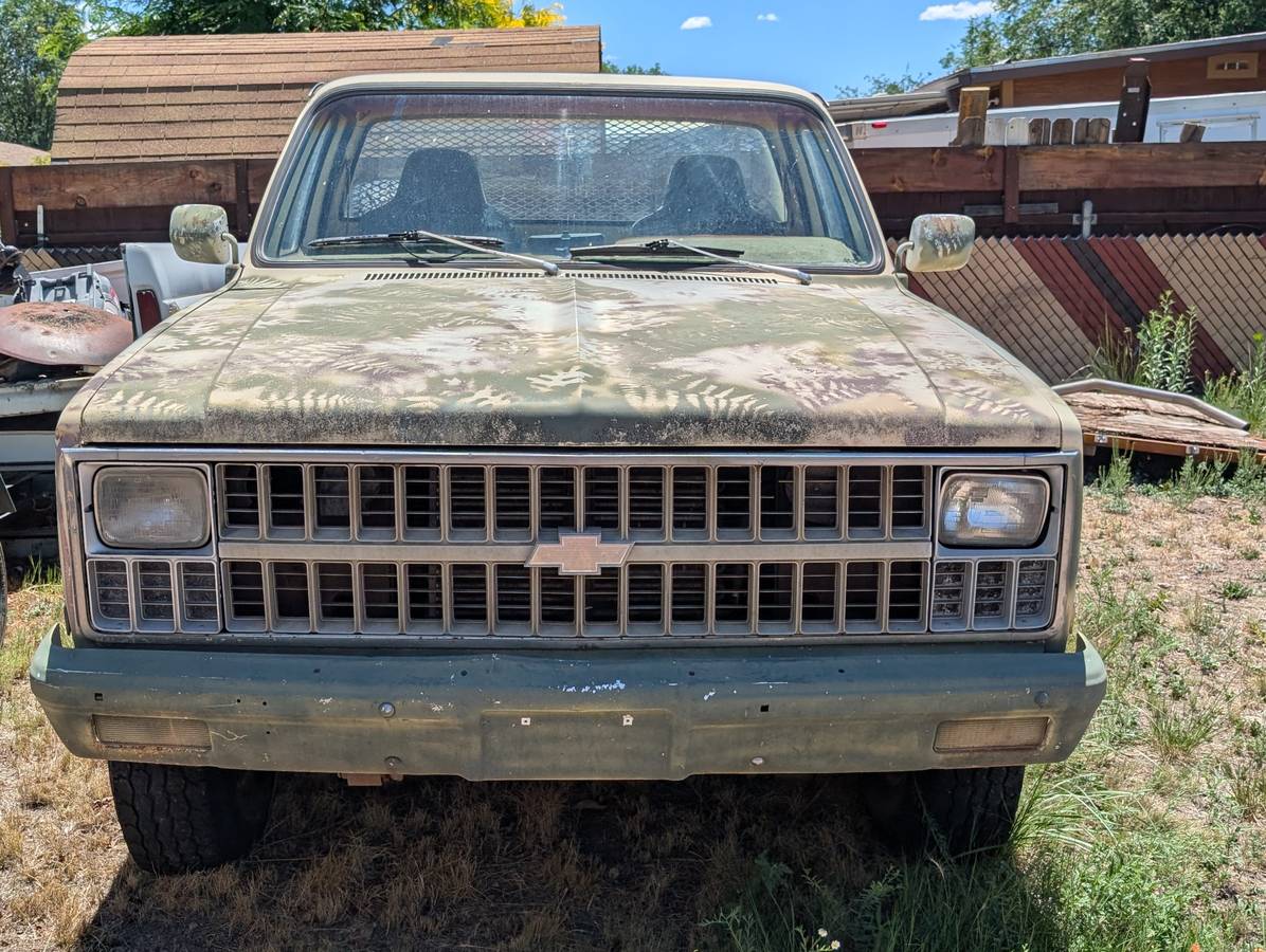 Chevrolet-custom-deluxe-1981-custom-8
