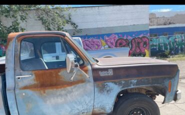 Chevrolet-k10-1980-blue-2