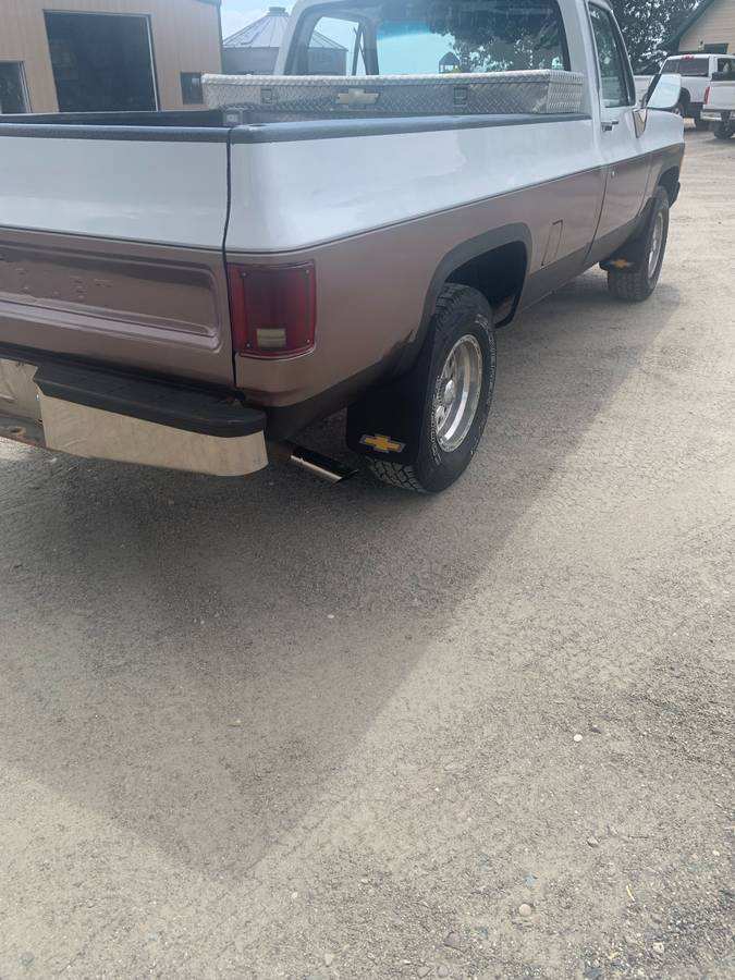 Chevrolet-k10-1980-white-3