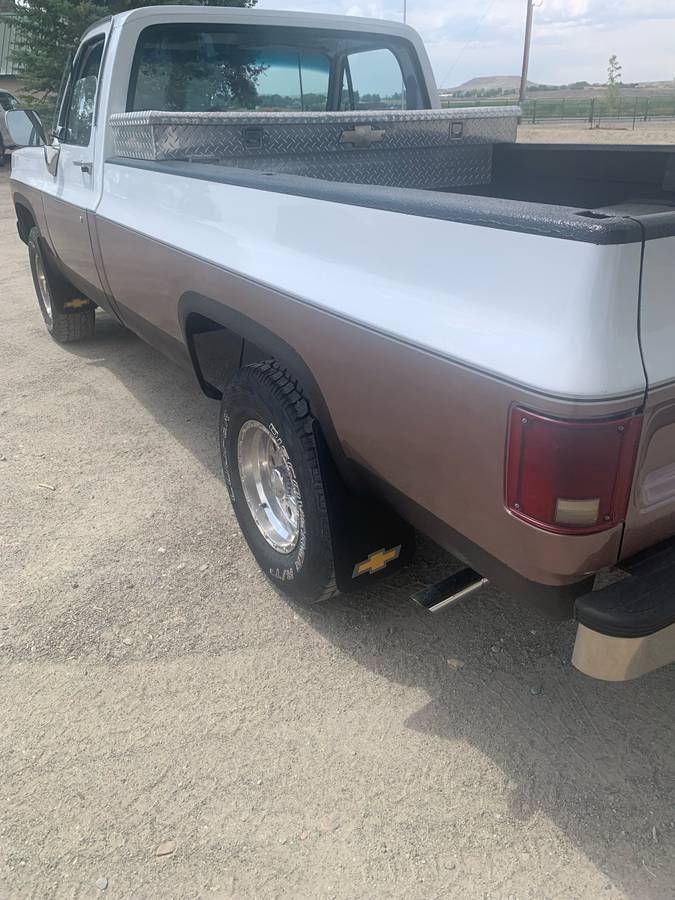 Chevrolet-k10-1980-white-5