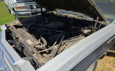 Chevrolet-malibu-1977-2