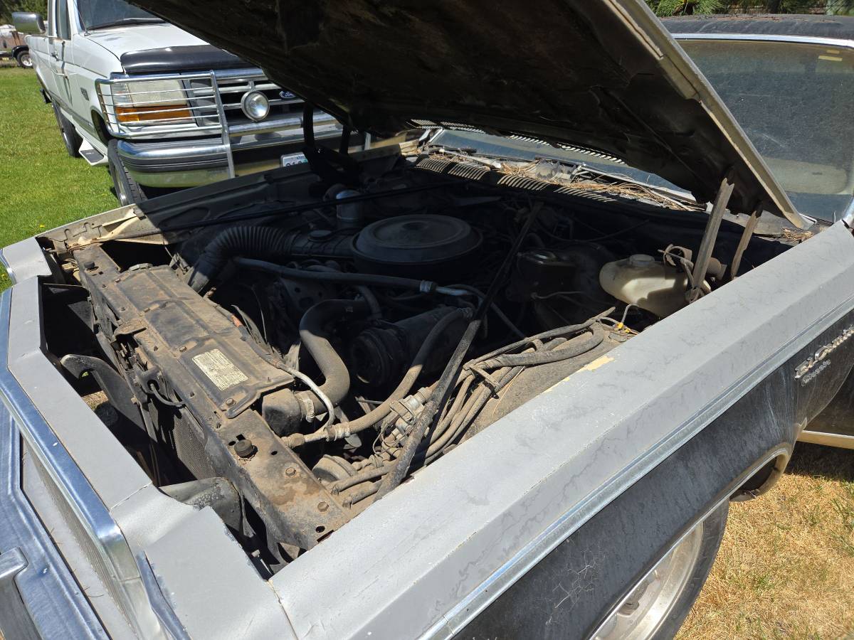 Chevrolet-malibu-1977-2