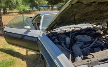 Chevrolet-malibu-1977-3