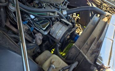 Chevrolet-malibu-1977-7