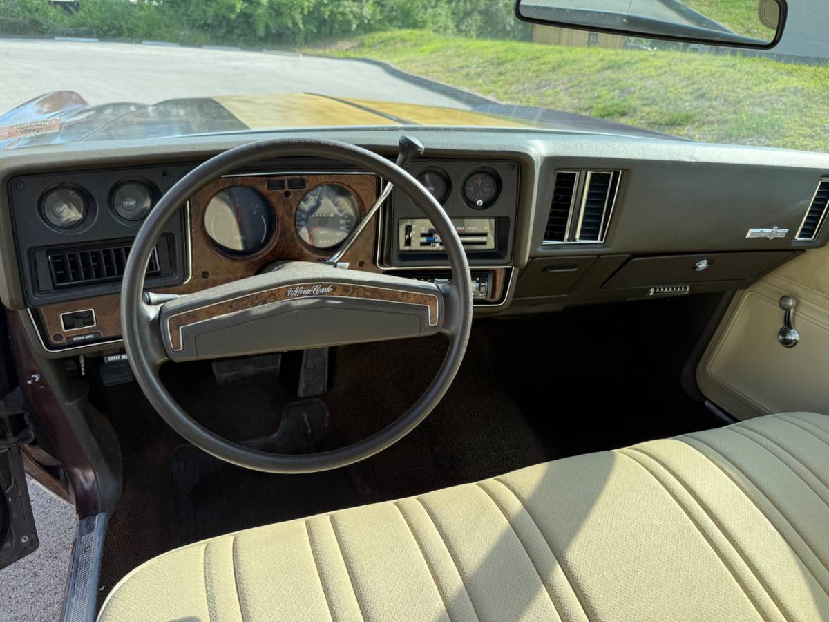Chevrolet-monte-carlo-1973-10