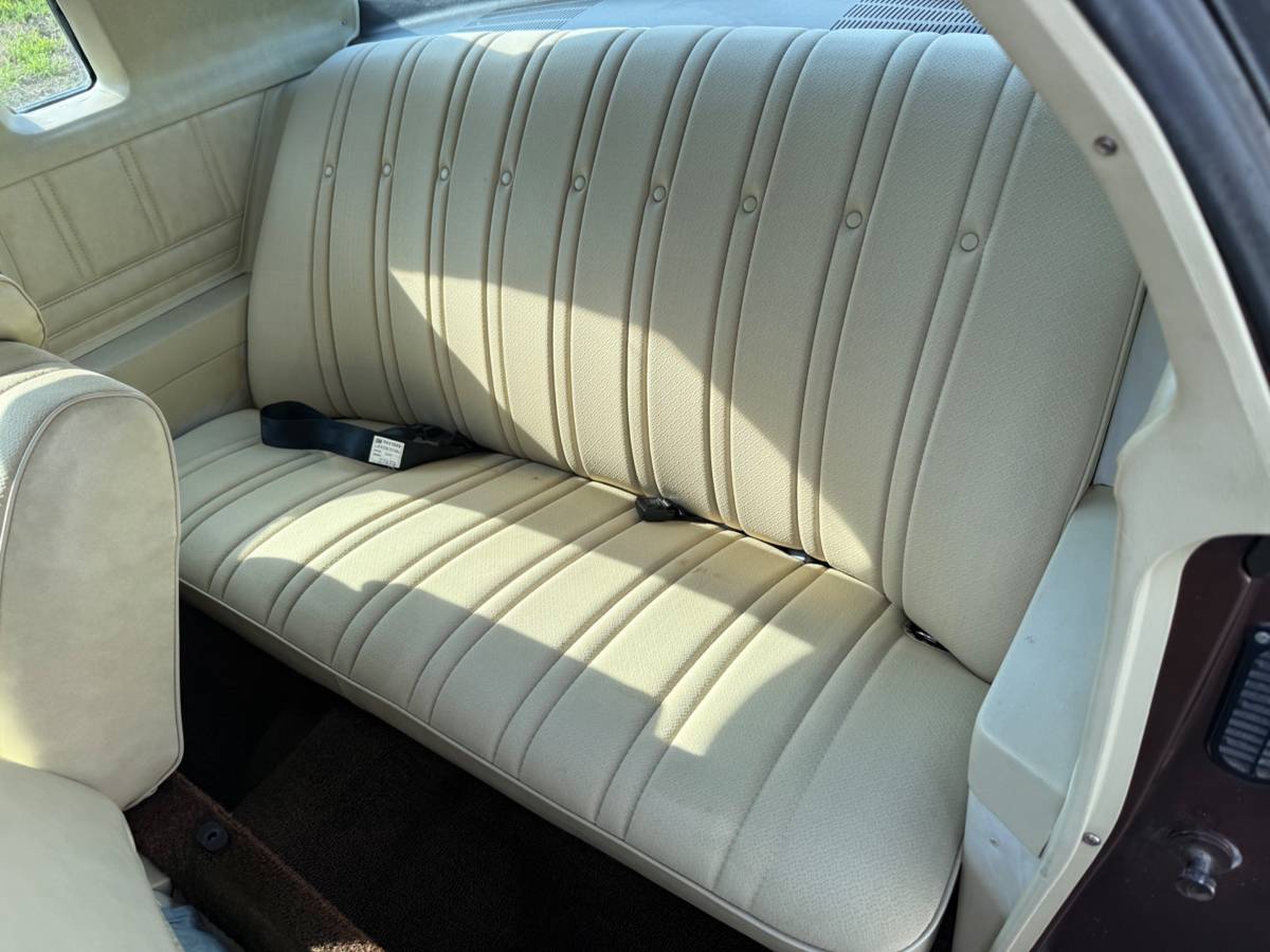 Chevrolet-monte-carlo-1973-9