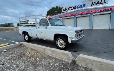 Chevrolet-r20-1983-white-10