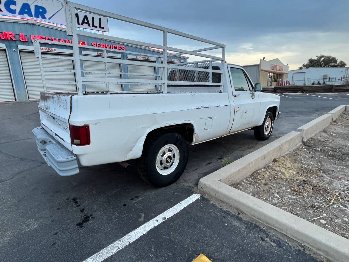 Chevrolet-r20-1983-white-11