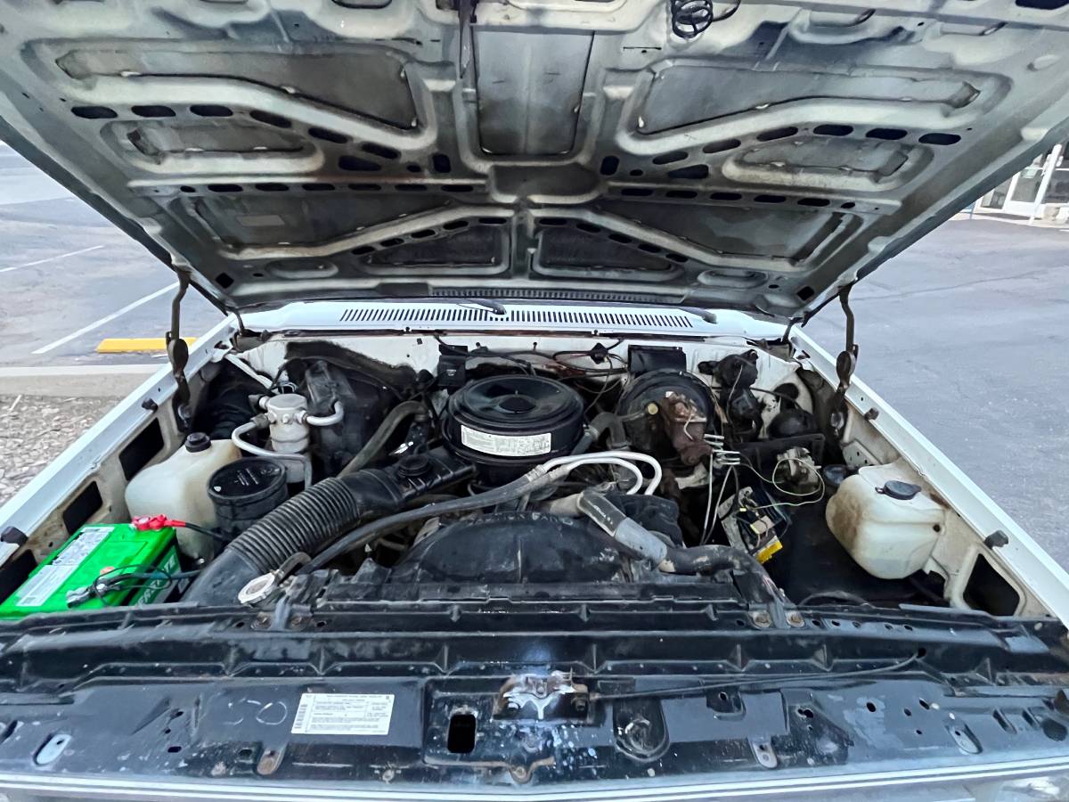 Chevrolet-r20-1983-white-7