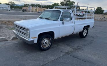 Chevrolet-r20-1983-white-8