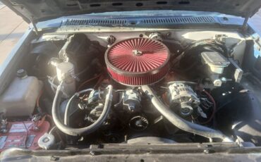 Chevrolet-s10-1993-white-3
