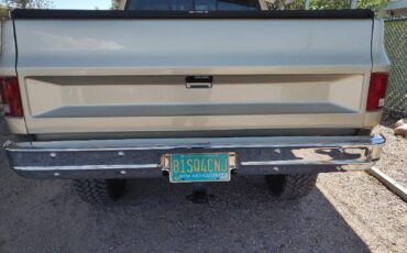 Chevrolet-scottsdale-1981-custom-10