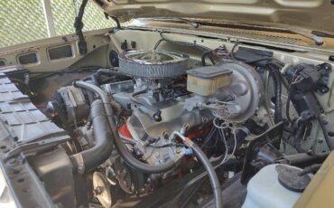 Chevrolet-scottsdale-1981-custom-15
