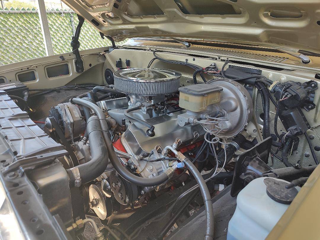 Chevrolet-scottsdale-1981-custom-15