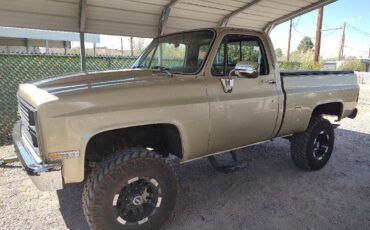 Chevrolet-scottsdale-1981-custom