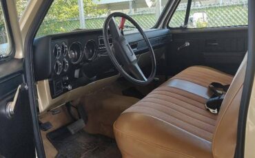 Chevrolet-scottsdale-1981-custom-4