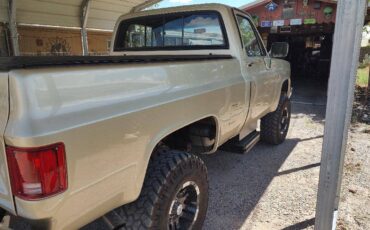 Chevrolet-scottsdale-1981-custom-7