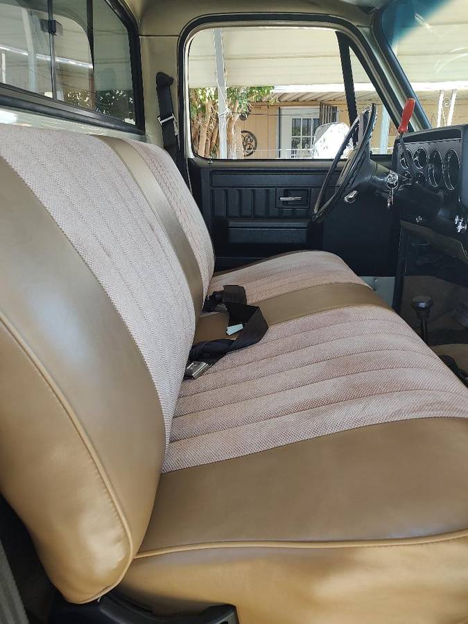 Chevrolet-scottsdale-1981-custom-8