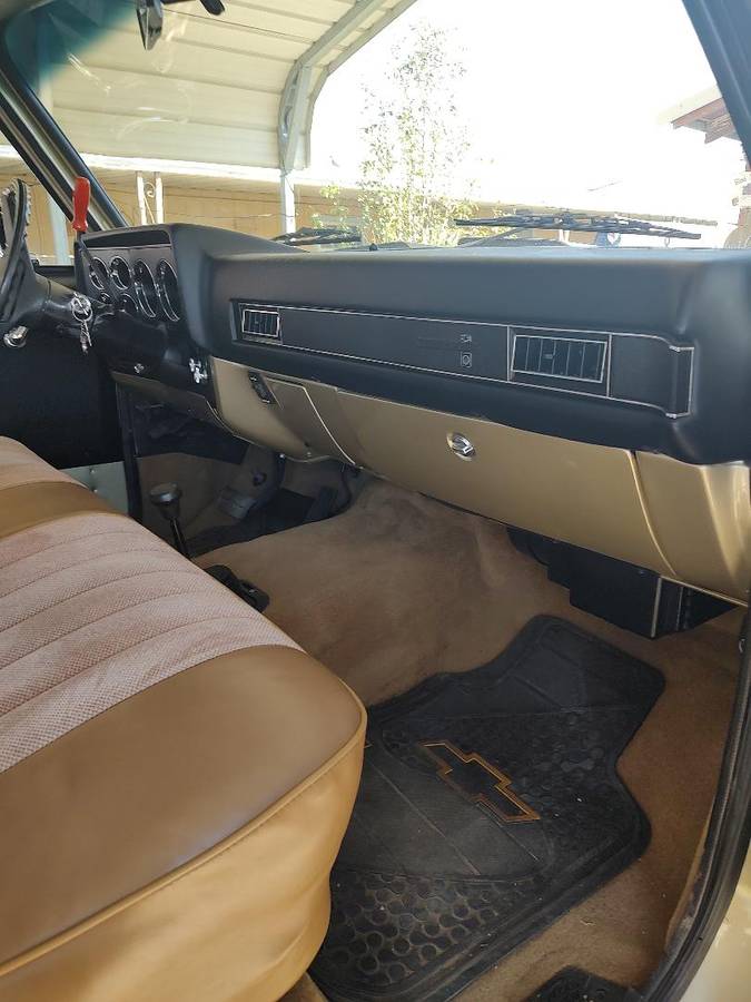 Chevrolet-scottsdale-1981-custom-9