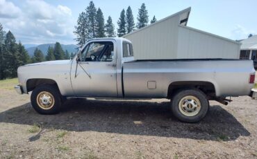 Chevrolet-scottsdale-1987-blue-2