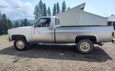 Chevrolet-scottsdale-1987-blue-3