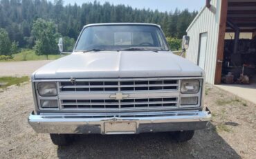 Chevrolet-scottsdale-1987-blue-4