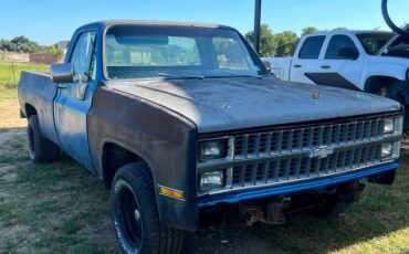 Chevrolet-silverado-1500-1982-blue-1
