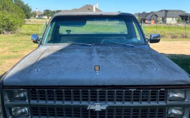 Chevrolet-silverado-1500-1982-blue