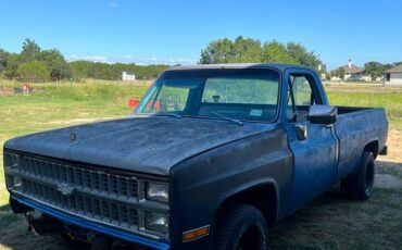 Chevrolet-silverado-1500-1982-blue-2