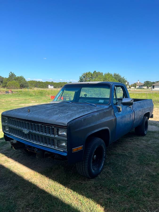 Chevrolet-silverado-1500-1982-blue-2
