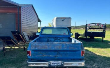 Chevrolet-silverado-1500-1982-blue-3
