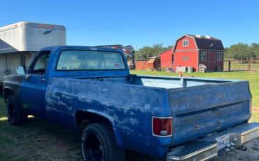 Chevrolet-silverado-1500-1982-blue-5