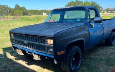 Chevrolet-silverado-1500-1982-blue-6
