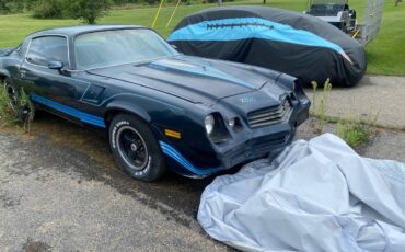Chevrolet-z28-camaro-1981-blue-20